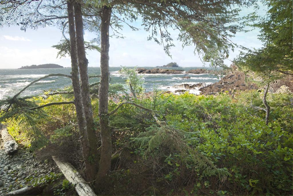 Wickaninnish Inn Tofino Room photo