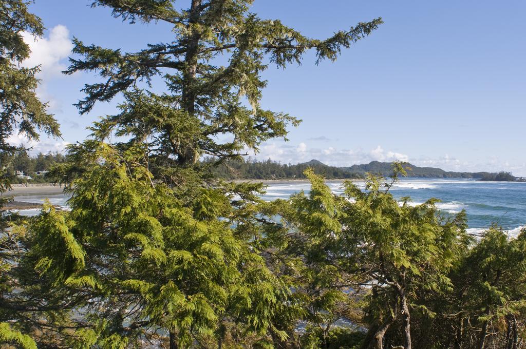 Wickaninnish Inn Tofino Room photo