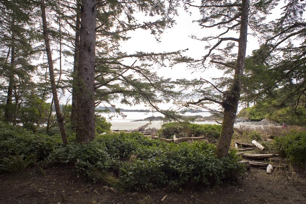 Wickaninnish Inn Tofino Room photo